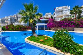 Image of Oasis Club II B11