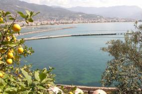 Image of Castle Villa