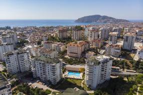 Image of Orange Banana Garden B25