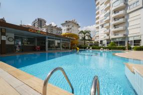 Image of Orange Banana Garden B25