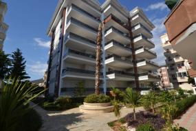 Image of Alaiye Cleopatra