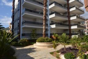 Image of Alaiye Cleopatra