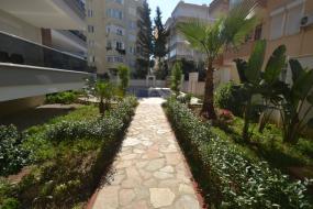 Image of Alaiye Cleopatra