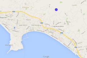 Image of Visguld Plot