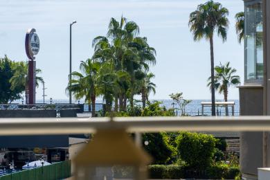 Alanya woning balkon uitzicht met weelderige palmbomen en de sprankelende Middellandse Zee, waardoor een rustige sfeer ontstaat.